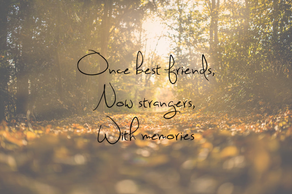 quote-friendship-autumn